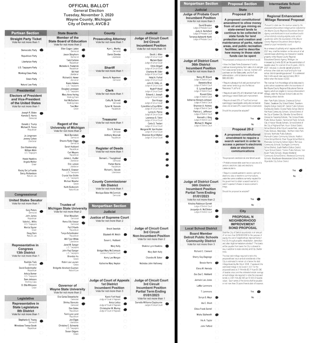 Primary-style BMD ballot example 1